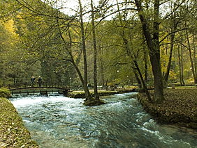 Vrelo Bosne